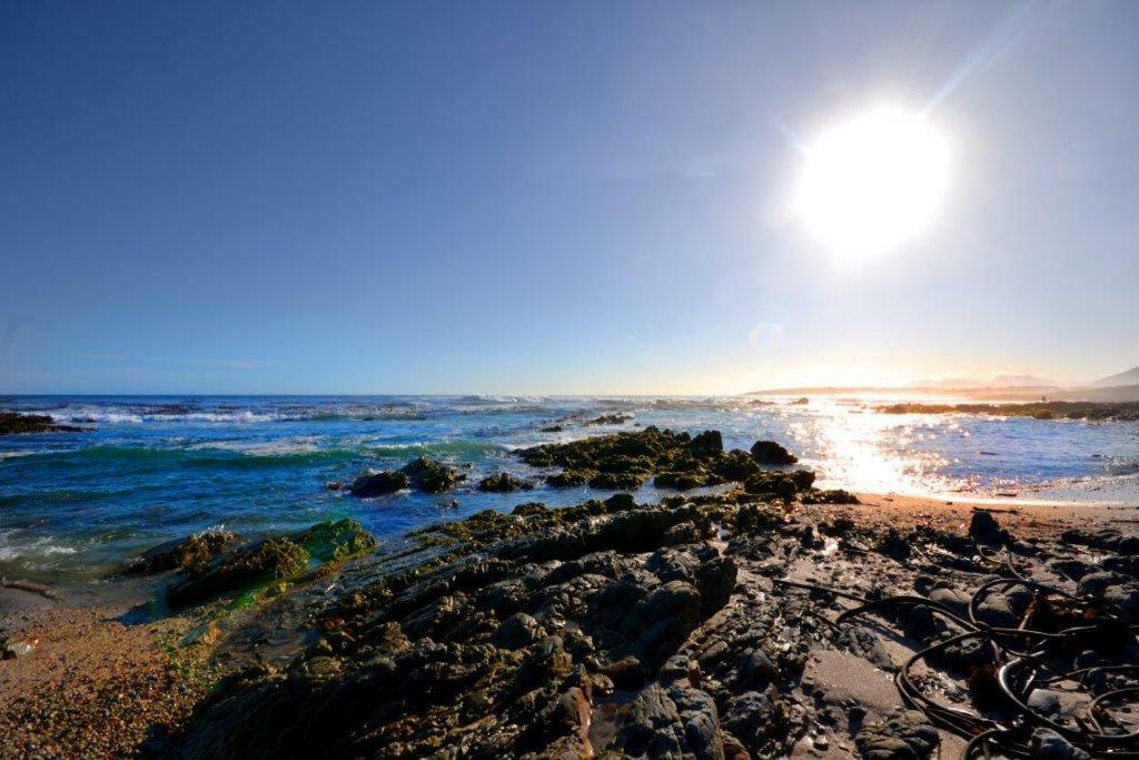 Saffron Hermanus